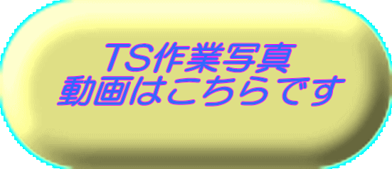 TSƎʐ^ ͂ł 
